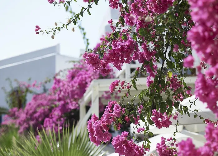 Polikandia فندق 3*